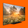 Téléviseur 65"